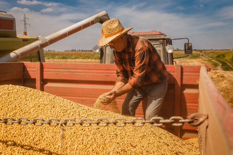 Зерновой совет серьёзно снизил оценку мирового производства сои